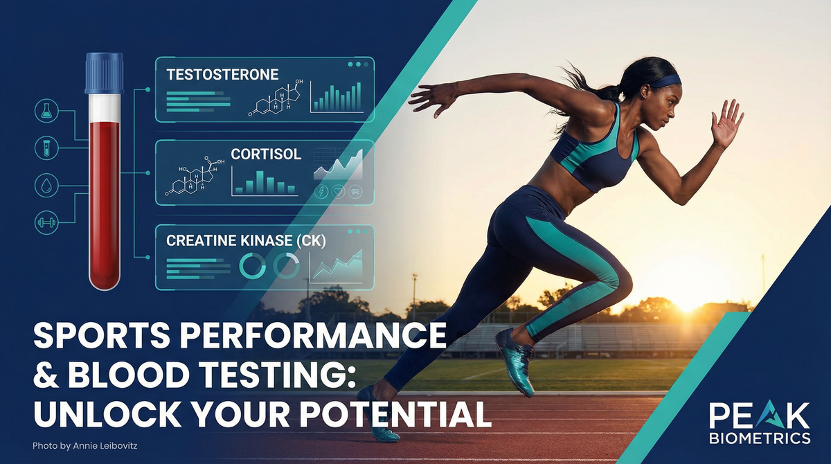 Sports Performance Blood Testing: Optimise Your Training